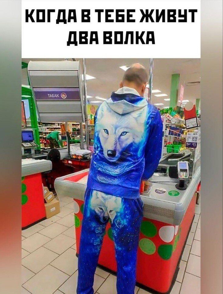 КОГДА В ТЕБЕ ЖИВУТ ДВА ВОЛКА