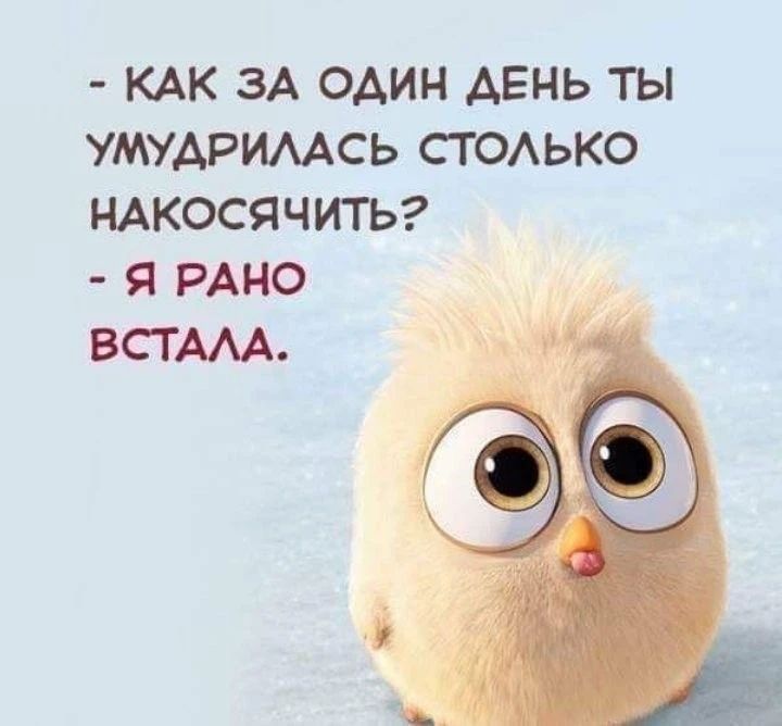 - КАК ЗА ОДИН ДЕНЬ ТЫ УМУДРИЛАСЬ СТОЛЬКО НАКОСЯЧИТЬ? - Я РАНО ВСТАЛА.