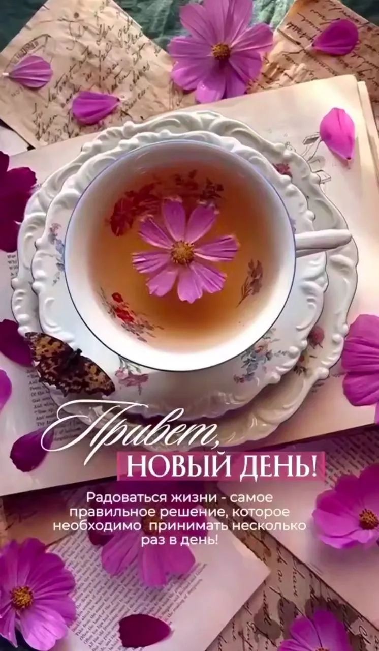 Привет, НОВЫЙ ДЕНЬ! Радоваться жизни - самое правильное решение, которое необходимо принимать несколько раз в день!