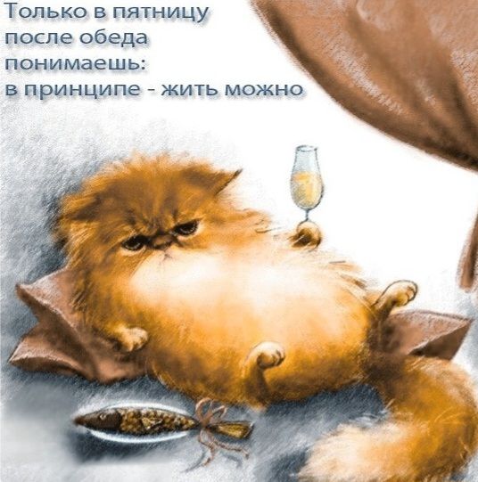 Только в пятницу после обеда понимаешь: в принципе - жить можно