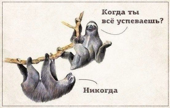 Когда ты всё успеваешь? Никогда