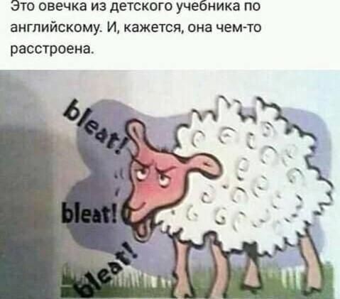 Это овечка из детского учебника по английскому. И, кажется, она чем-то расстроена. bleat! bleat! bleat!