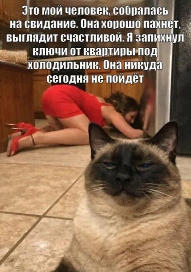 Это мой человек, собралась на свидание. Она хорошо пахнет, выглядит счастливой. Я запихнул ключи от квартиры под холодильник. Она никуда сегодня не пойдёт