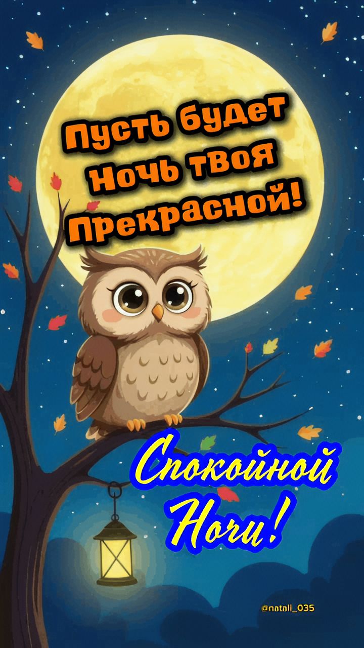 Пусть будет ночь твоя прекрасной! Спокойной ночи!