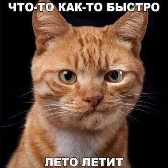 Что-то как-то быстро лето летит