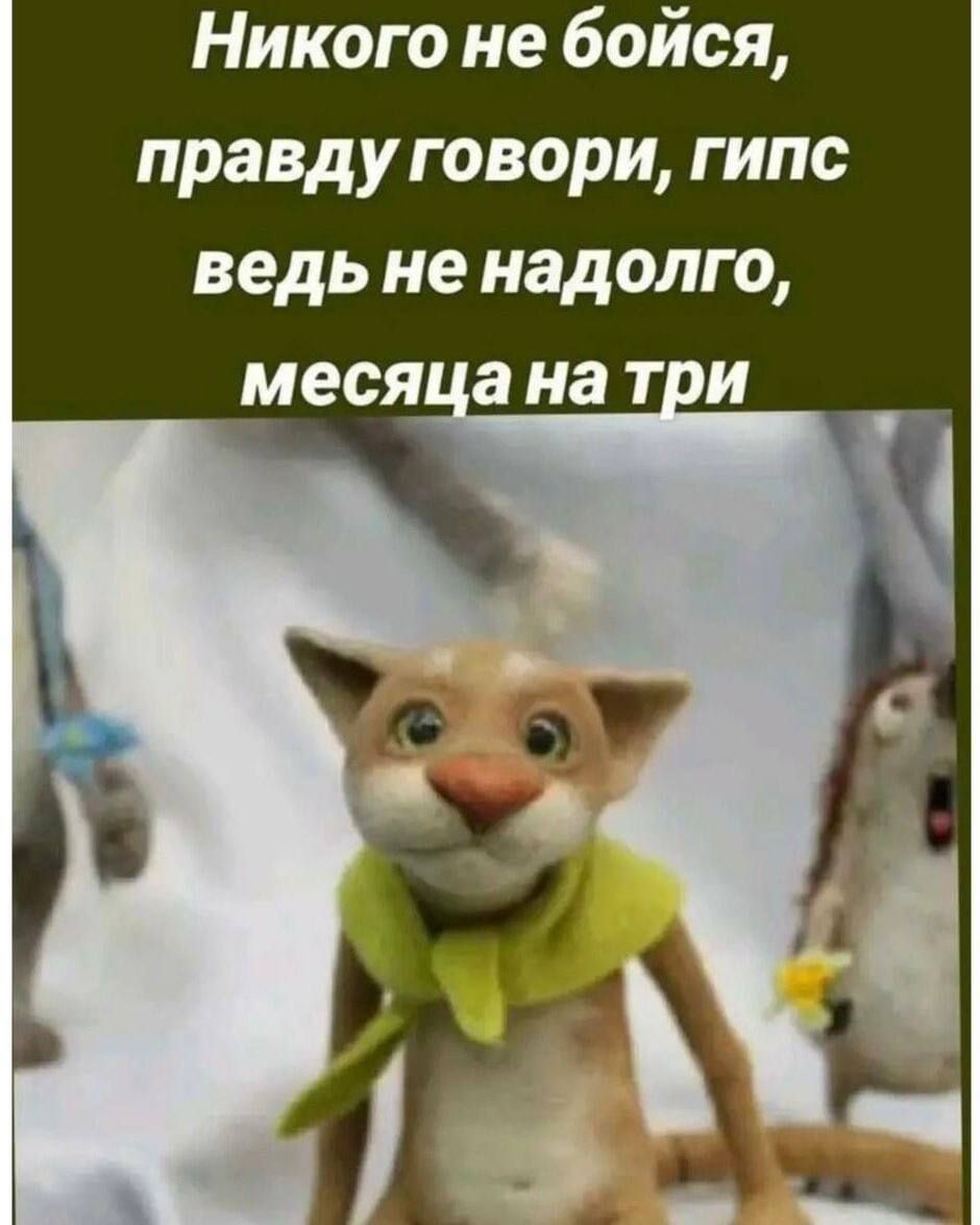 Никого не бойся, правду говори, гипс ведь не надолго, месяца на три