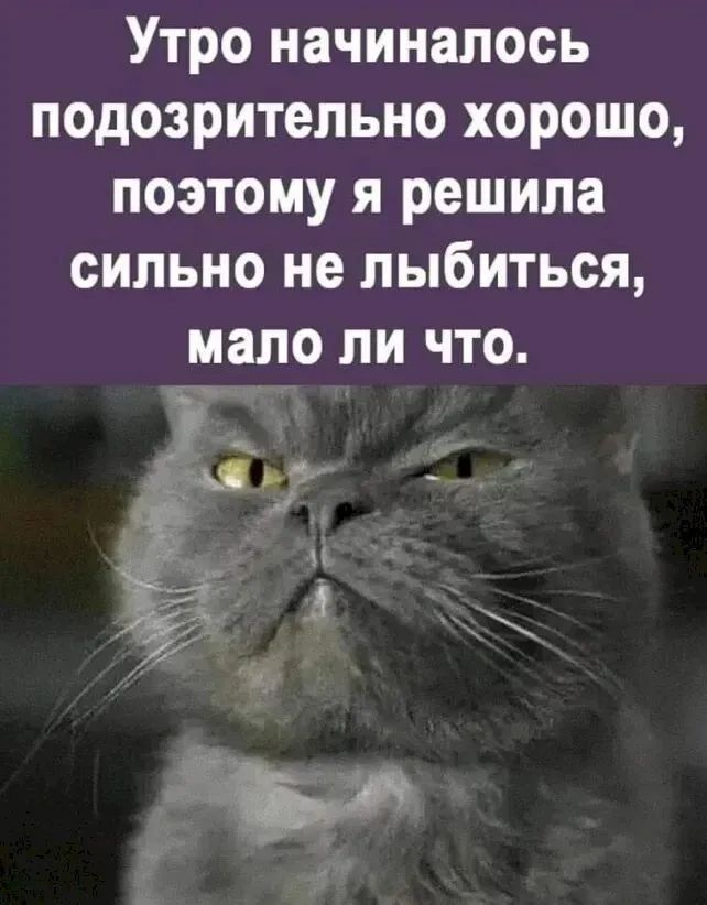 Утро начиналось подозрительно хорошо, поэтому я решила сильно не лыбиться, мало ли что.