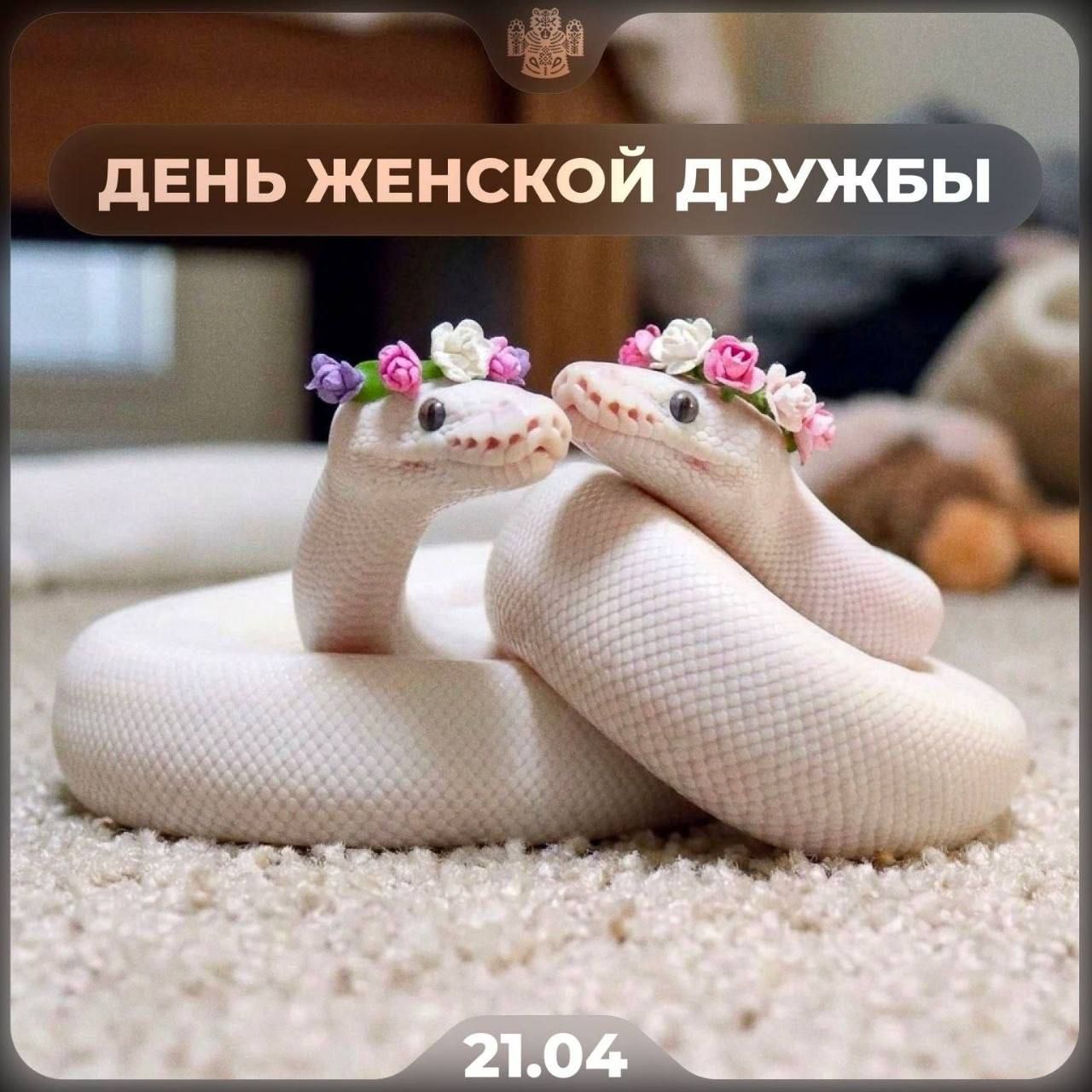 ДЕНЬ ЖЕНСКОЙ ДРУЖБЫ 21.04