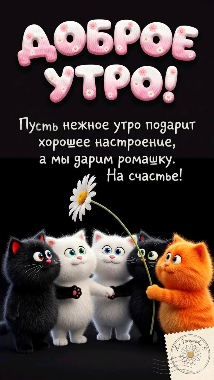 ДОБРОЕ УТРО! Пусть нежное утро подарит хорошее настроение, а мы дарим ромашку. На счастье!