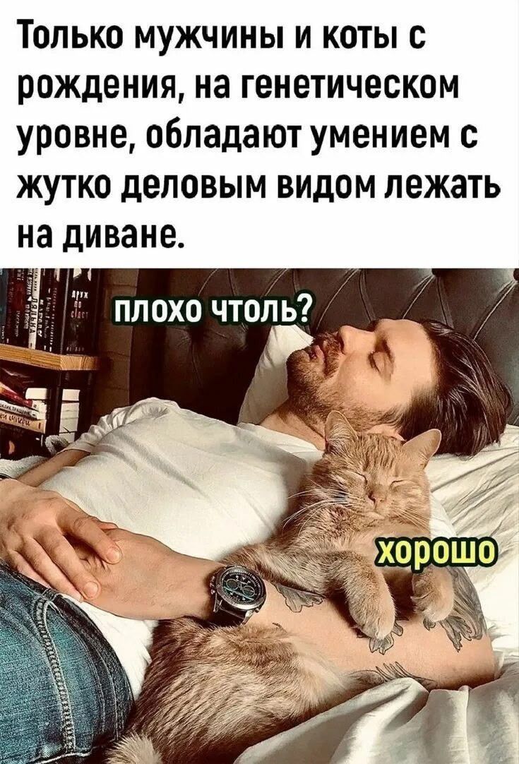 Только мужчины и коты с рождения, на генетическом уровне, обладают умением с жутко деловым видом лежать на диване. плохо чтоль? хорошо