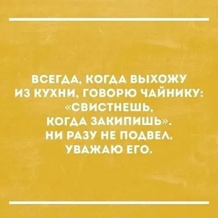 ВСЕГДА, КОГДА ВЫХОЖУ ИЗ КУХНИ, ГОВОРЮ ЧАЙНИКУ: «СВИСТНЕШЬ, КОГДА ЗАКИПИШЬ». НИ РАЗУ НЕ ПОДВЕЛ. УВАЖАЮ ЕГО.