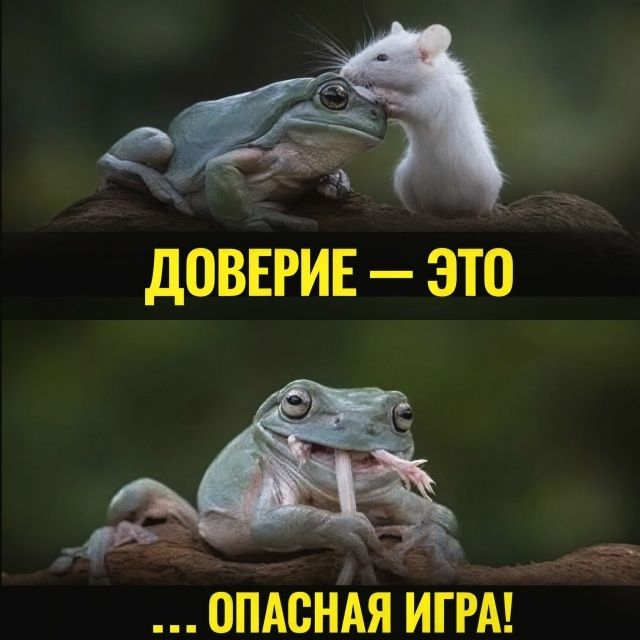 ДОВЕРИЕ — ЭТО... ОПАСНАЯ ИГРА!