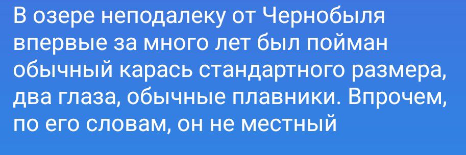 В озере неподалеку от Чернобыля впервые за много лет был пойман обычный карась стандартного размера, два глаза, обычные плавники. Впрочем, по его словам, он не местный