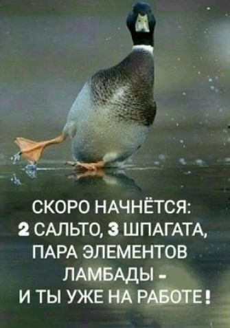 Скоро начнется: 2 сальто, 3 шпагата, пара элементов ламбады - и ты уже на работе!