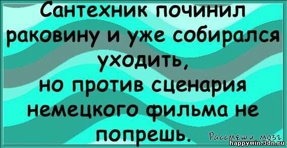 Сантехник починил раковину и уже собирался уходить, но против сценария немецкого фильма не попрешь.