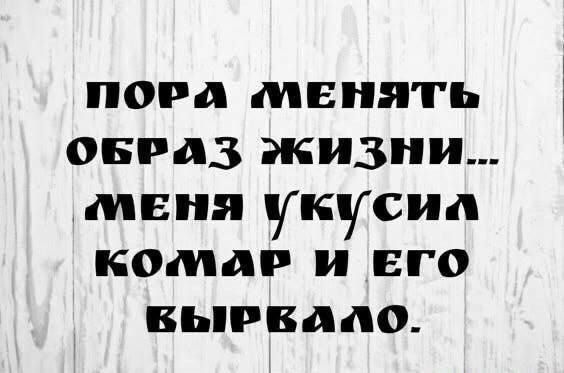 ПОРА МЕНЯТЬ ОБРАЗ ЖИЗНИ... МЕНЯ УКУСИЛ КОМАР И ЕГО ВЫРВАЛО.