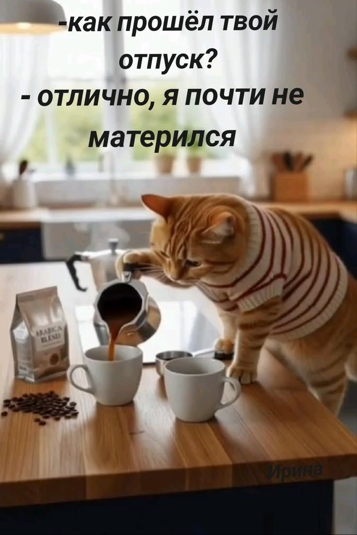 - как прошёл твой отпуск? - отлично, я почти не матерился