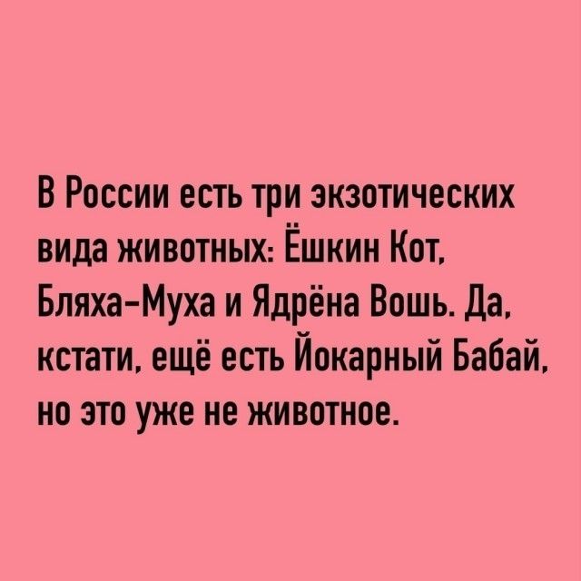 В России есть три экзотических вида животных: Ёшкин Кот, Бляха-Муха и Ядрёна Вошь. Да, кстати, ещё есть Йокарный Бабай, но это уже не животное.