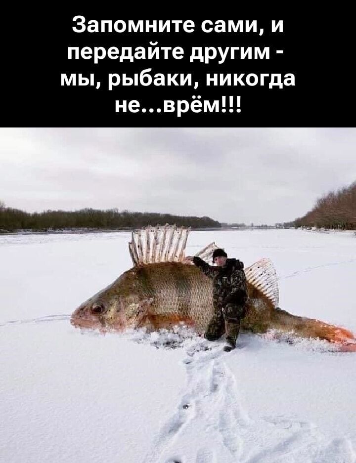 Запомните сами, и передайте другим - мы, рыбаки, никогда не...врём!!!