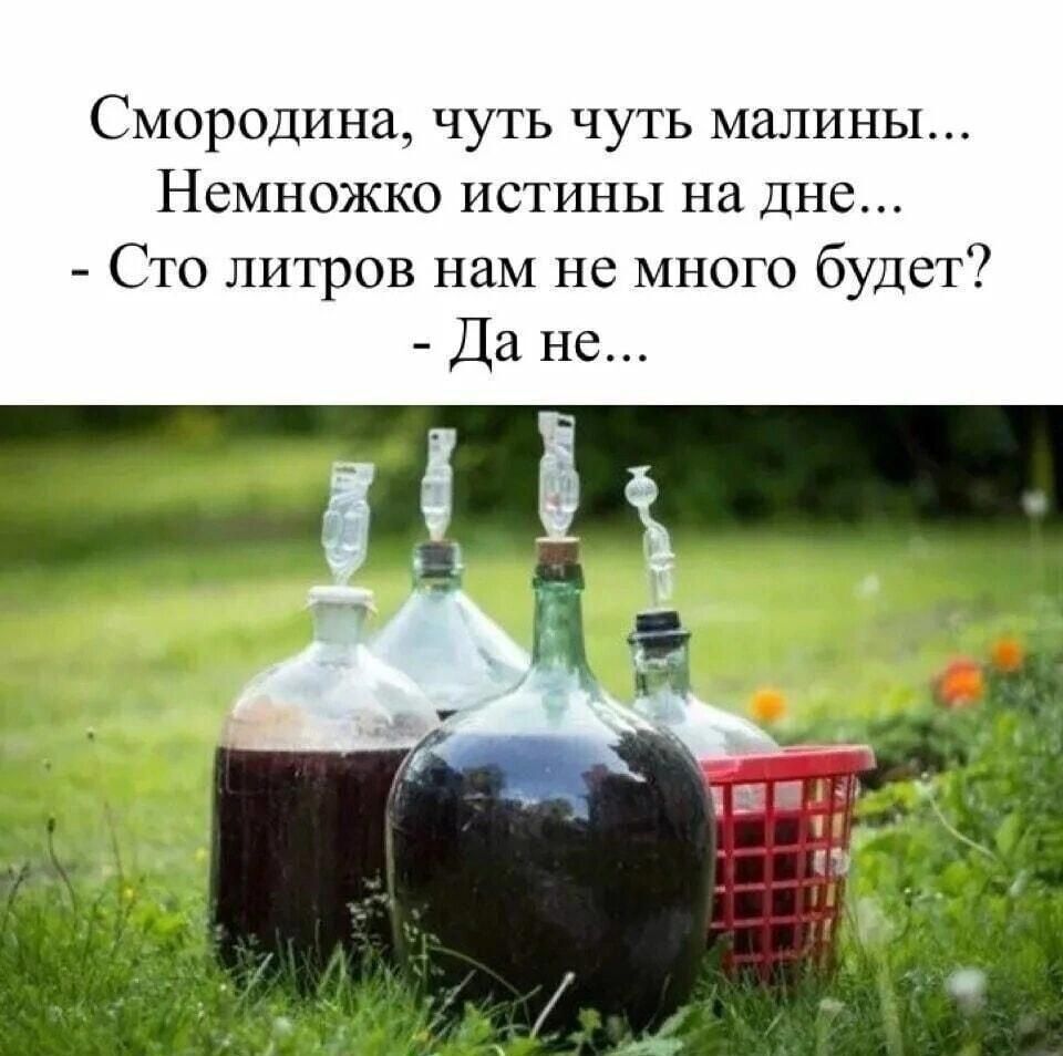Смородина, чуть чуть малины...
Немножко истины на дне...
- Сто литров нам не много будет?
- Да не...
