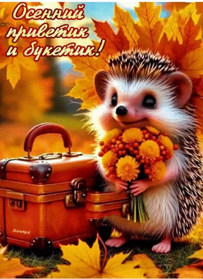 Осенний приветик и букетик!