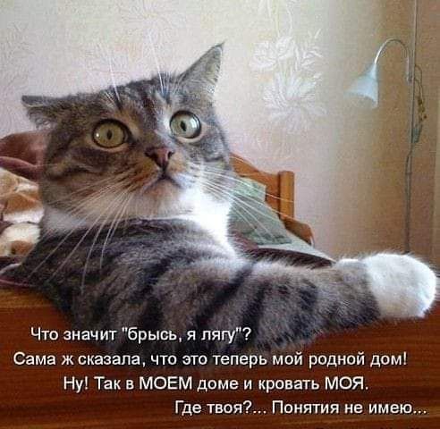 Что значит 