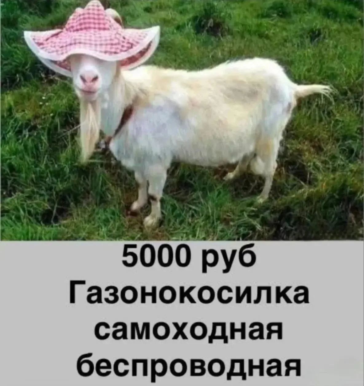 5000 руб Газонокосилка самоходная беспроводная
