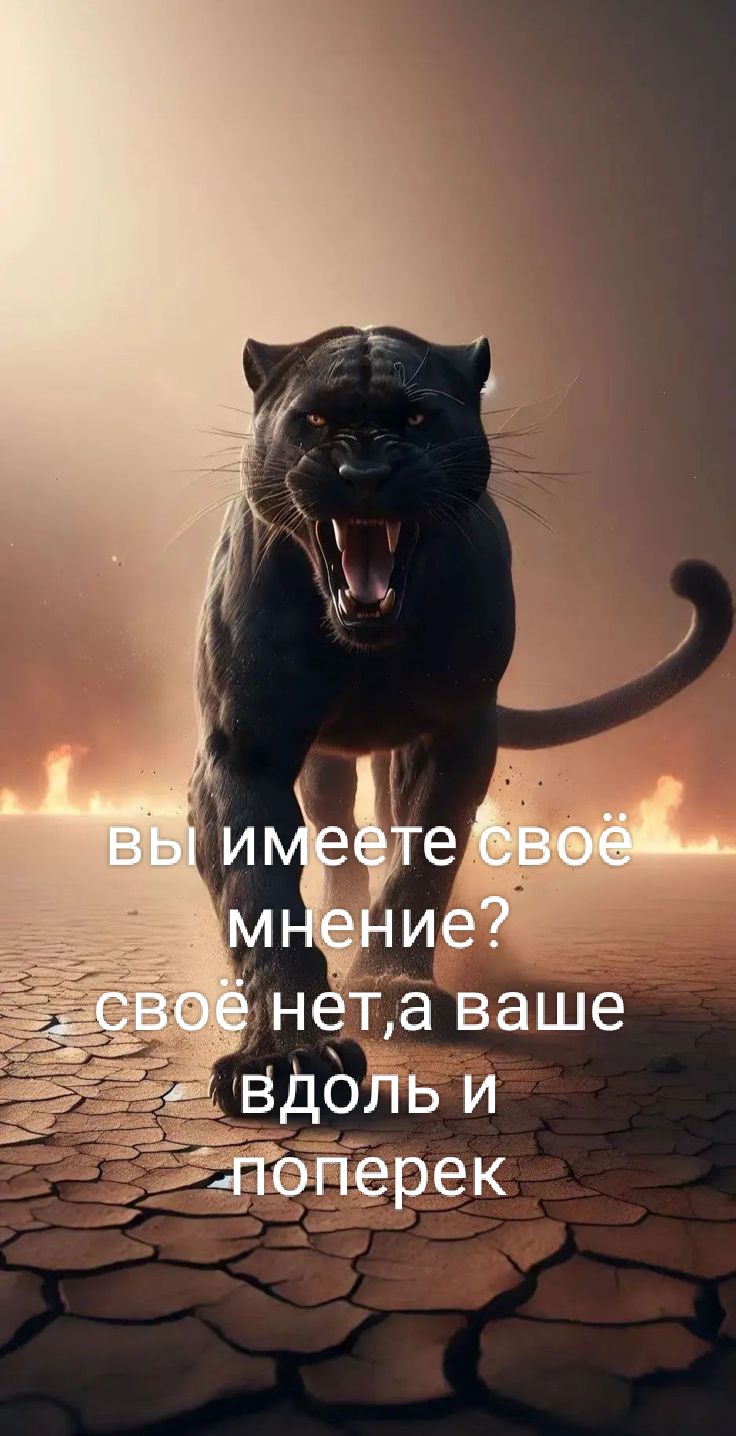 вы имеете своё мнение? своё нет, а ваше вдоль и поперек
