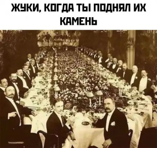 ЖУКИ, КОГДА ТЫ ПОДНЯЛ ИХ КАМЕНЬ