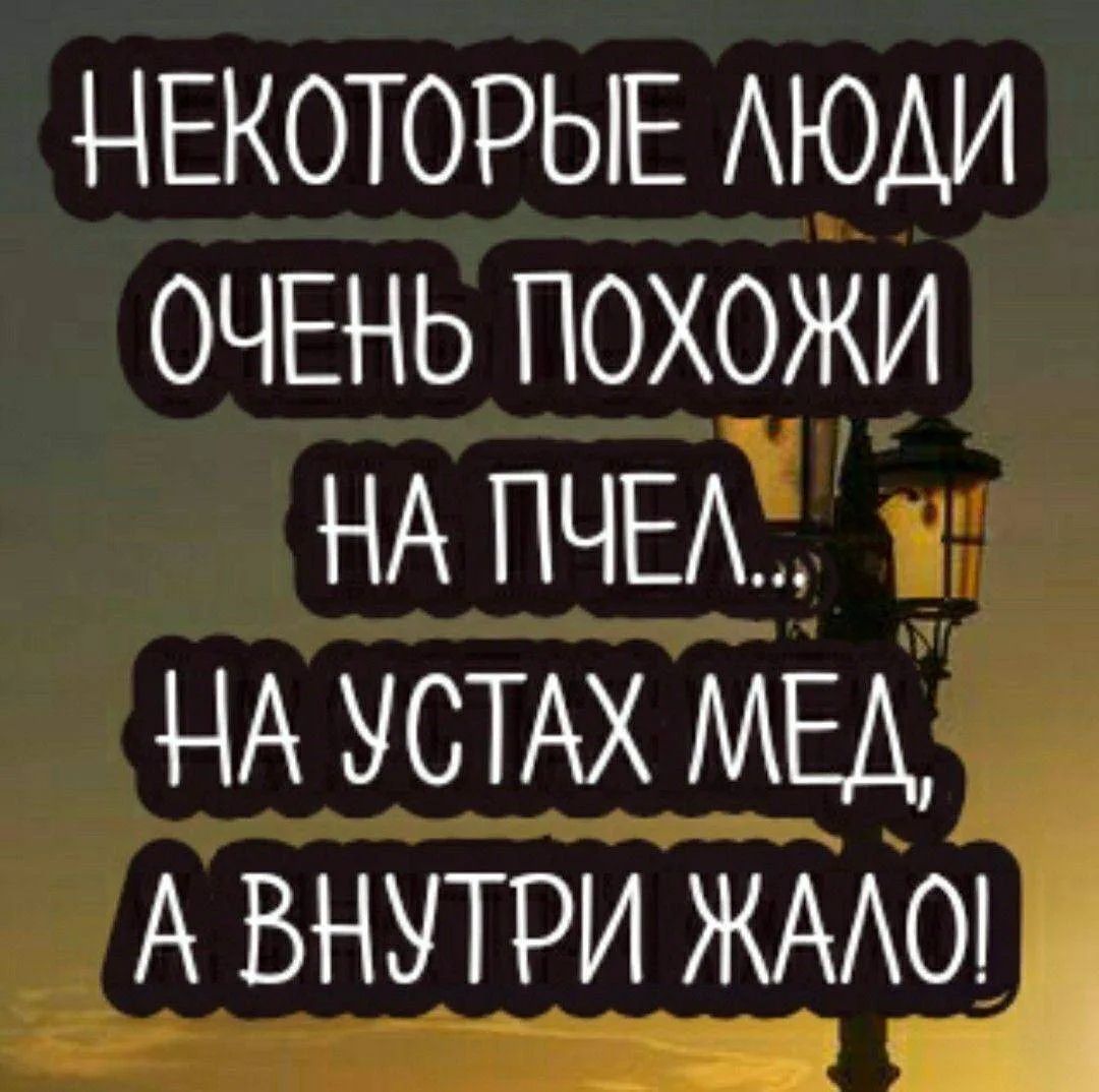 НЕКОТОРЫЕ ЛЮДИ ОЧЕНЬ ПОХОЖИ НА ПЧЕЛ... НА УСТАХ МЕД, А ВНУТРИ ЖАЛО!