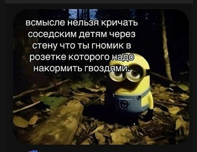 всмысле нельзя кричать соседским детям через стену что ты гномик в розетке которого надо накормить гвоздями.