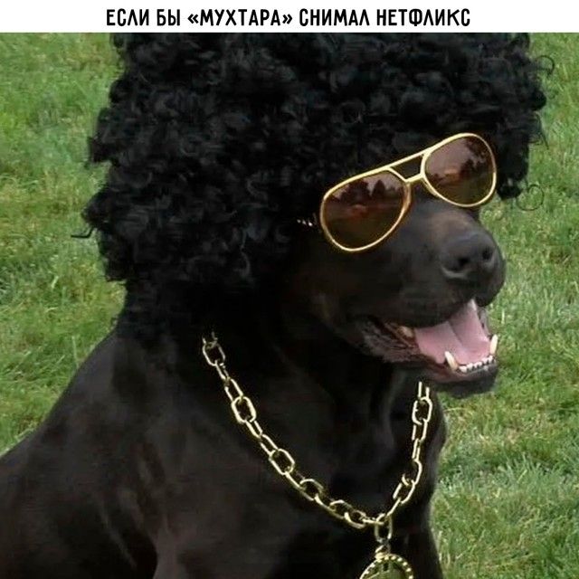 ЕСЛИ БЫ «МУХТАРА» СНИМАЛ НЕТФЛИКС