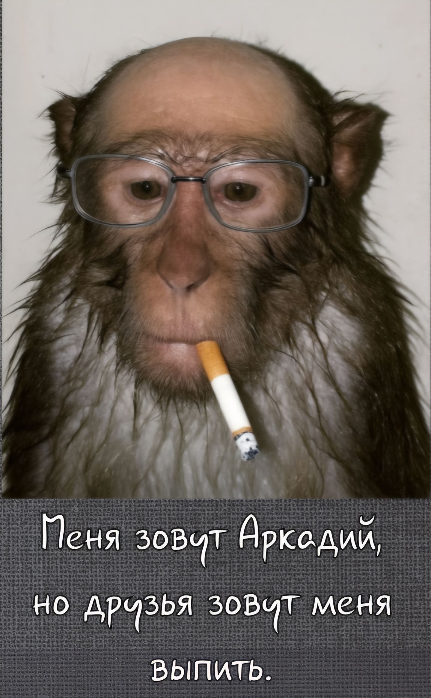 Меня зовут Аркадий, но друзья зовут меня выпить.