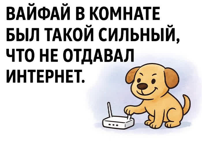 ВАЙФАЙ В КОМНАТЕ БЫЛ ТАКОЙ СИЛЬНЫЙ, ЧТО НЕ ОТДАВАЛ ИНТЕРНЕТ.