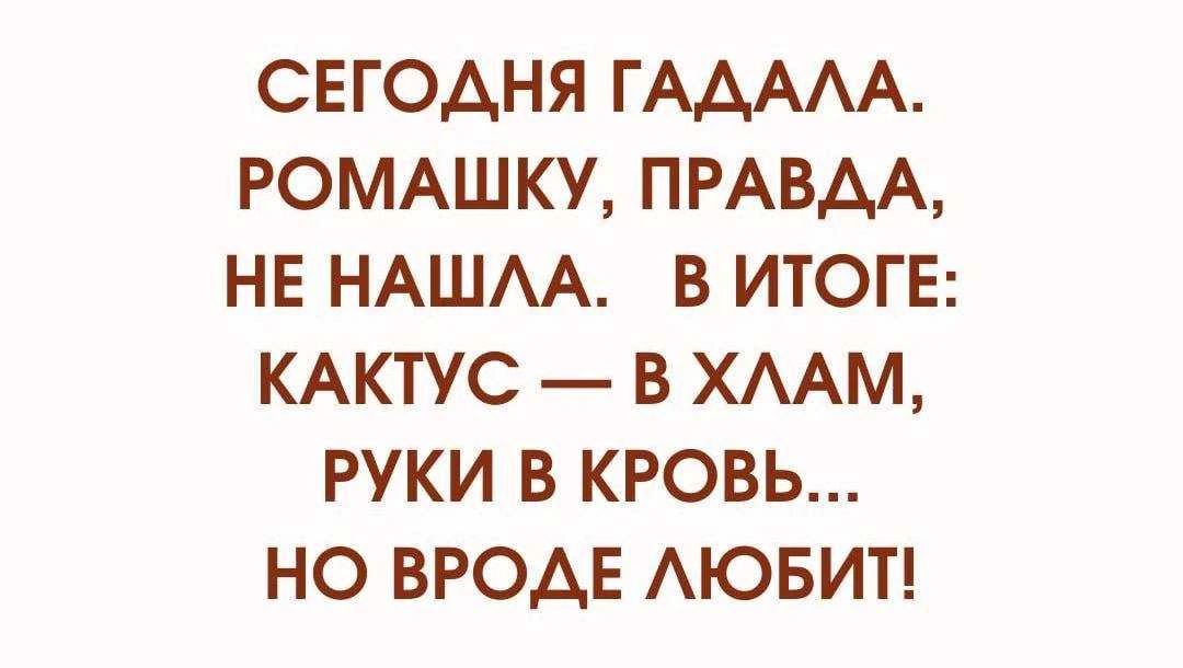 СЕГОДНЯ ГАДАЛА. РОМАШКУ, ПРАВДА, НЕ НАШЛА. В ИТОГЕ: КАКТУС — В ХЛАМ, РУКИ В КРОВЬ... НО ВРОДЕ ЛЮБИТ!