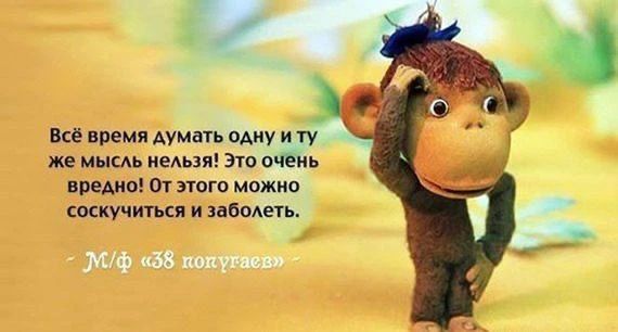 Всё время думать одну и ту же мысль нельзя! Это очень вредно! От этого можно соскучиться и заболеть. - М/ф «38 попугаев»