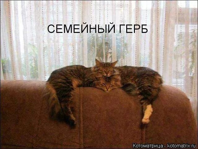 СЕМЕЙНЫЙ ГЕРБ