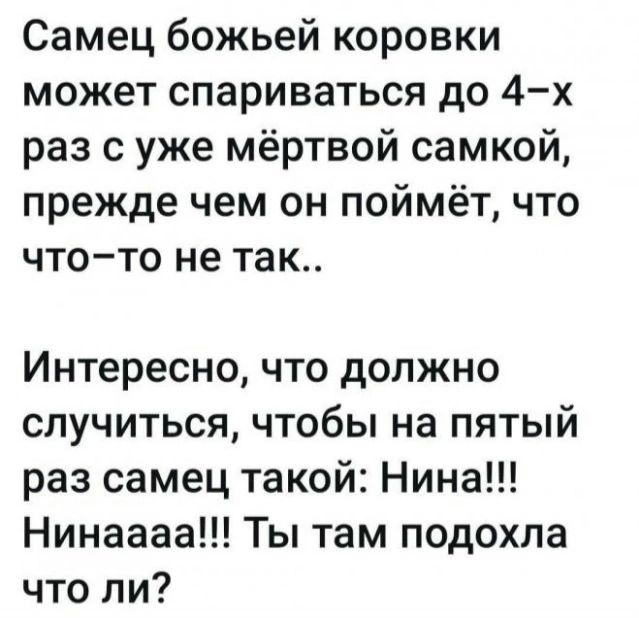 Самец божьей коровки может спариваться до 4-х раз с уже мёртвой самкой, прежде чем он поймёт, что что-то не так.. Интересно, что должно случиться, чтобы на пятый раз самец такой: Нина!!! Нинаааа!!! Ты там подохла что ли?