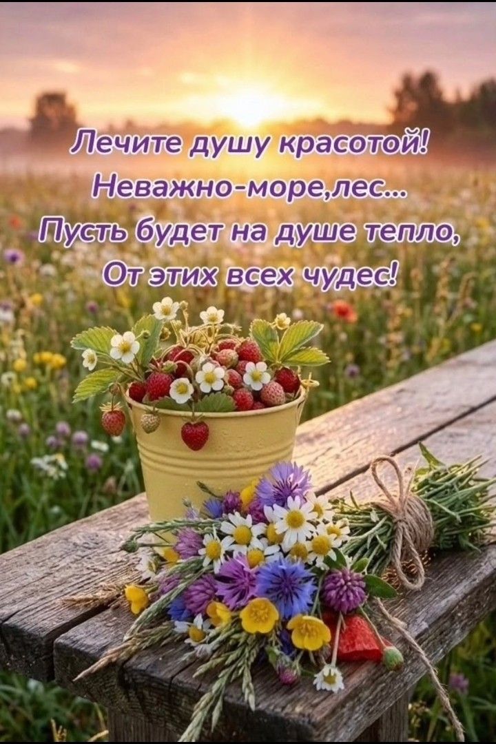 Лечите душу красотой! Неважно - море, лес... Пусть будет на душе тепло, От этих всех чудес!