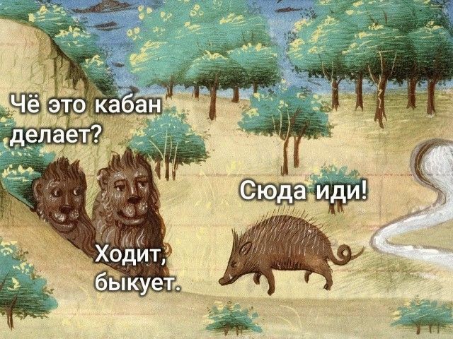 Чё это кабан делает? Ходит, быкует. Сюда иди!