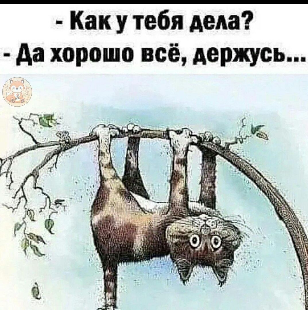 Как у тебя дела? Да хорошо всё, держусь...