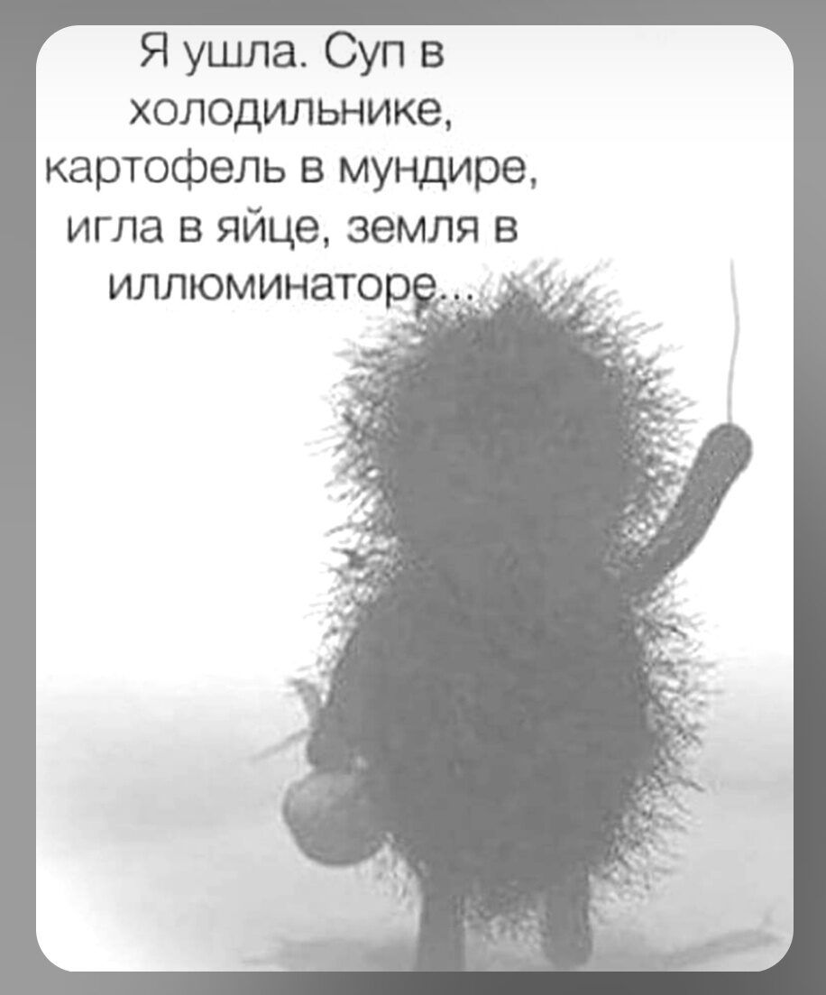 Я ушла. Суп в холодильнике, картофель в мундире, игла в яйце, земля в иллюминаторе...