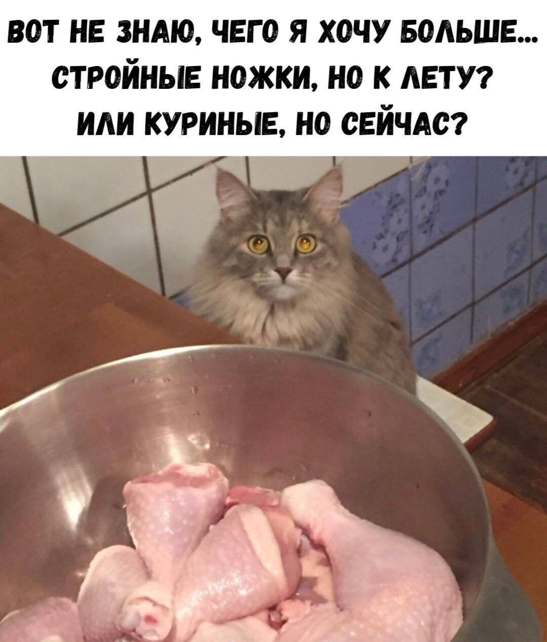ВОТ НЕ ЗНАЮ, ЧЕГО Я ХОЧУ БОЛЬШЕ... СТРОЙНЫЕ НОЖКИ, НО К ЛЕТУ? ИЛИ КУРИНЫЕ, НО СЕЙЧАС?