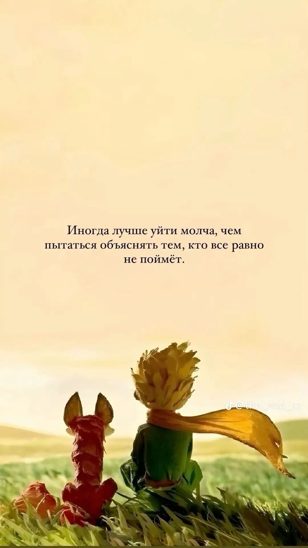 Иногда лучше уйти молча, чем пытаться объяснять тем, кто все равно не поймёт.