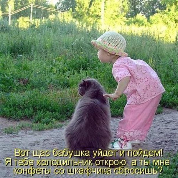 Вот щас бабушка уйдет и пойдем! Я тебе холодильник открою, а ты мне конфеты со шкафчика сбросишь?