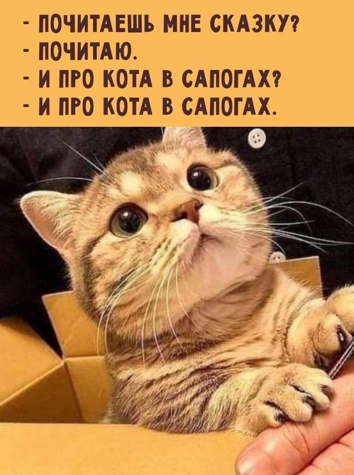 - ПОЧИТАЕШЬ МНЕ СКАЗКУ?
- ПОЧИТАЮ.
- И ПРО КОТА В САПОГАХ?
- И ПРО КОТА В САПОГАХ.