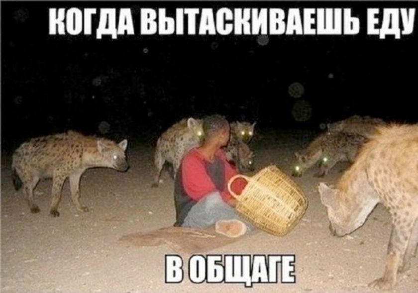 КОГДА ВЫТАСКИВАЕШЬ ЕДУ В ОБЩАГЕ