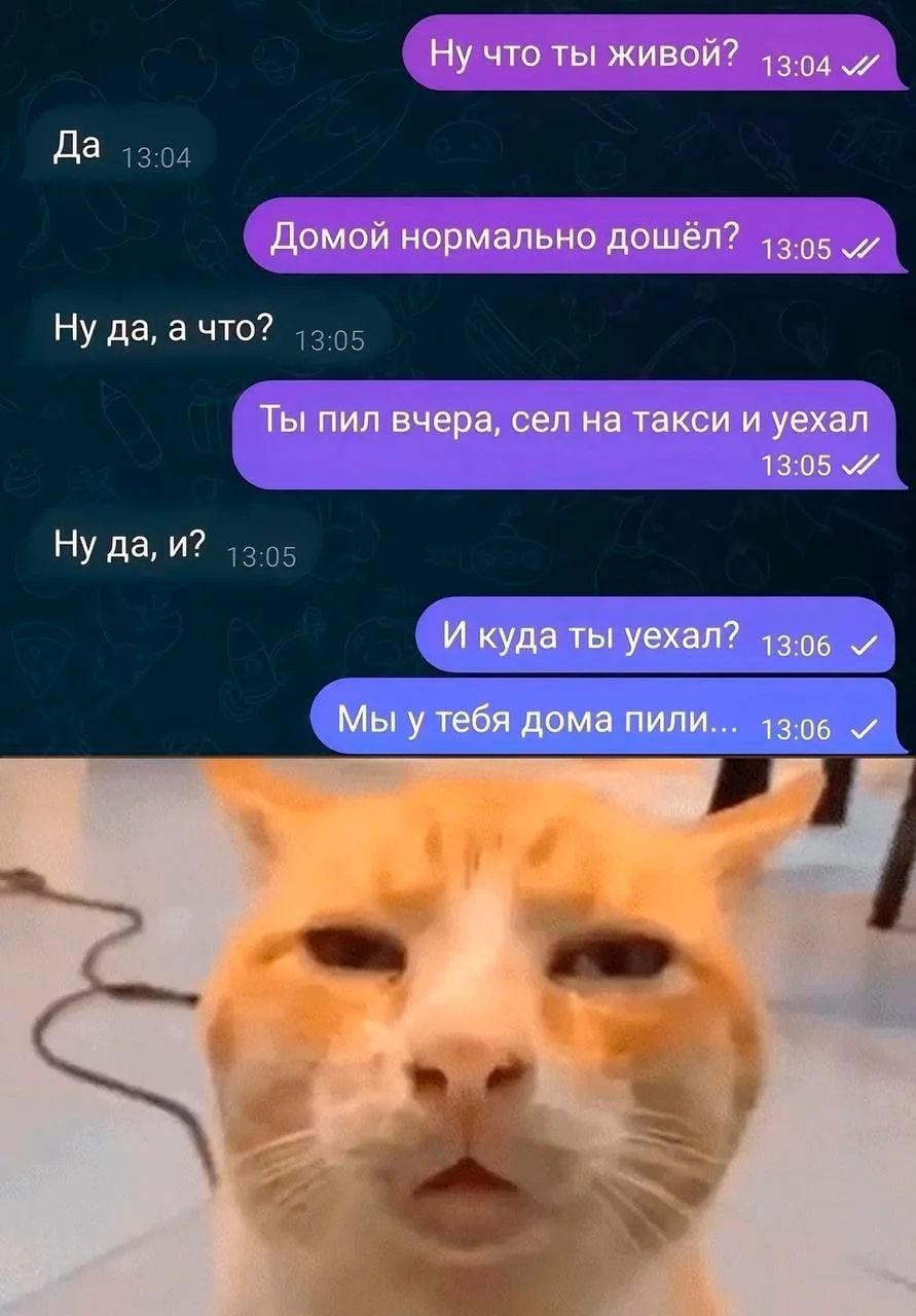 Ну что ты живой? Да Домой нормально дошёл? Ну да, а что? Ты пил вчера, сел на такси и уехал Ну да, и? И куда ты уехал? Мы у тебя дома пили...