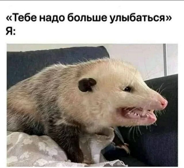«Тебе надо больше улыбаться» Я: