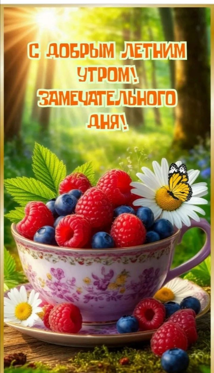 С ДОБРЫМ ЛЕТНИМ УТРОМ! ЗАМЕЧАТЕЛЬНОГО ДНЯ!